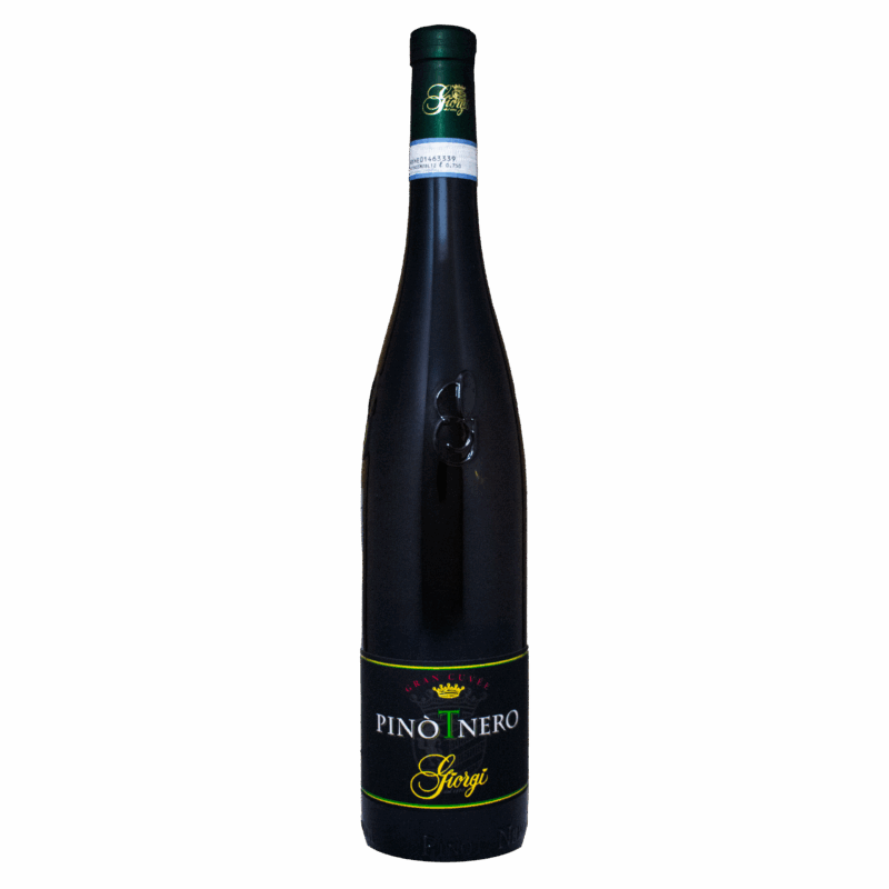 Giorgi Vivace Pinot Nero Oltepo' Pavese Doc