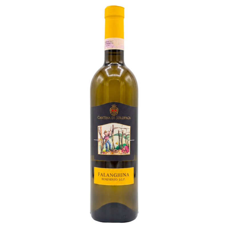 “Falanghina” Benevento IGP, 2024 – Cantina di Solopaca