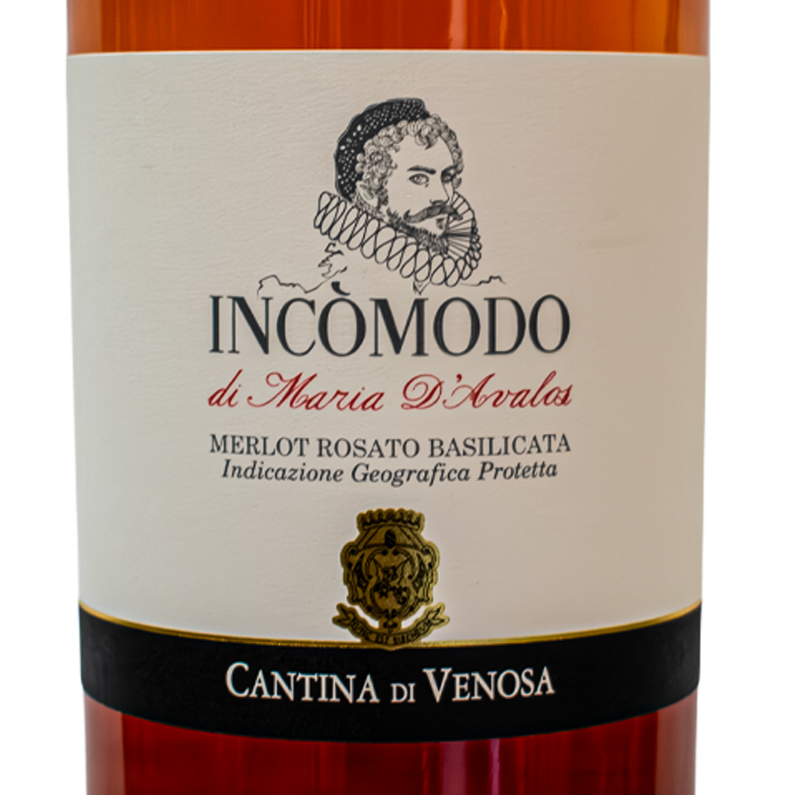 “Incòmodo” IGP Merlot Rosato – Cantina di Venosa - immagine 2